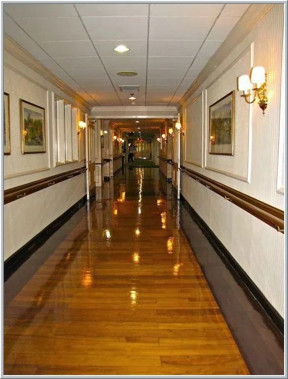 ELLIS NURSING HOME (THE)