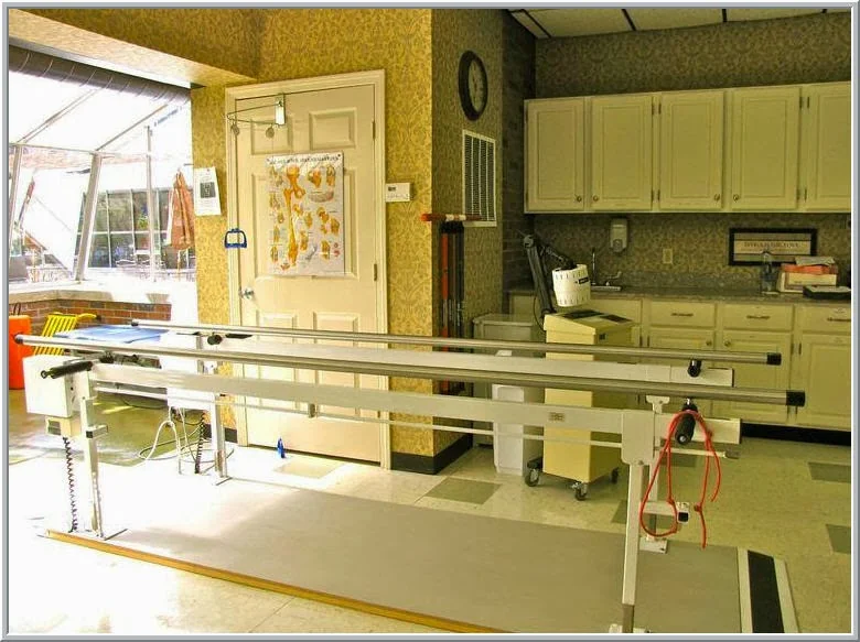 ELLIS NURSING HOME (THE)
