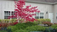 EVERETT CENTER