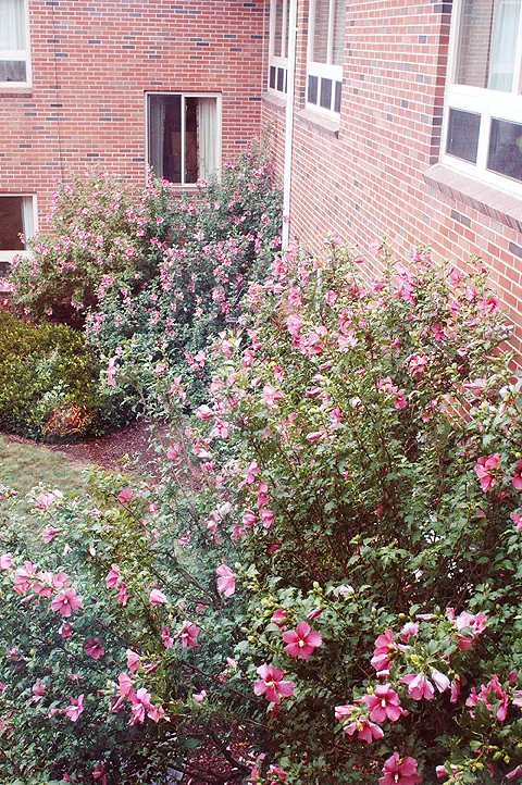 FAIRHAVEN HEALTHCARE CENTER