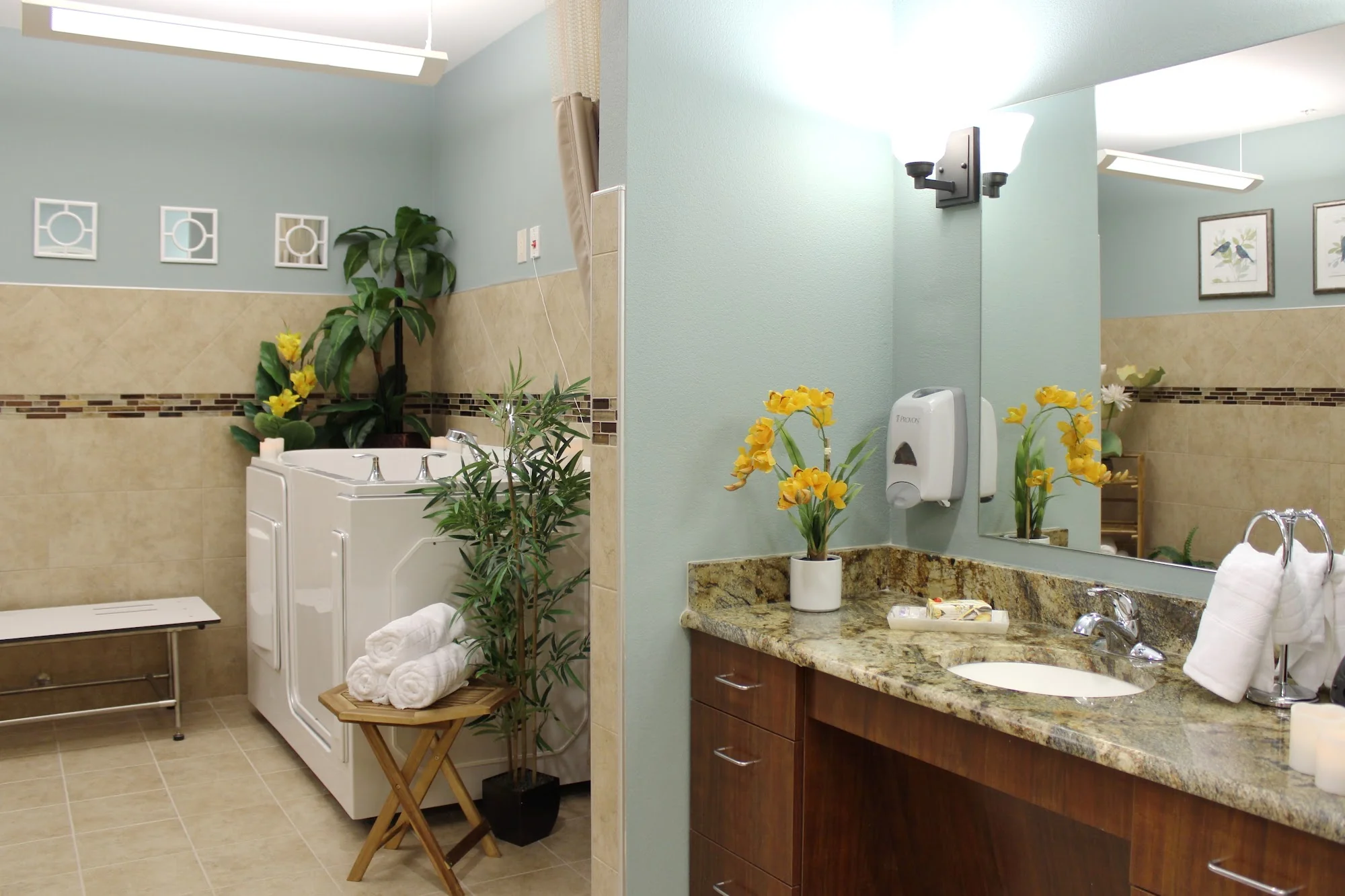 FALCON RIDGE REHABILITATION