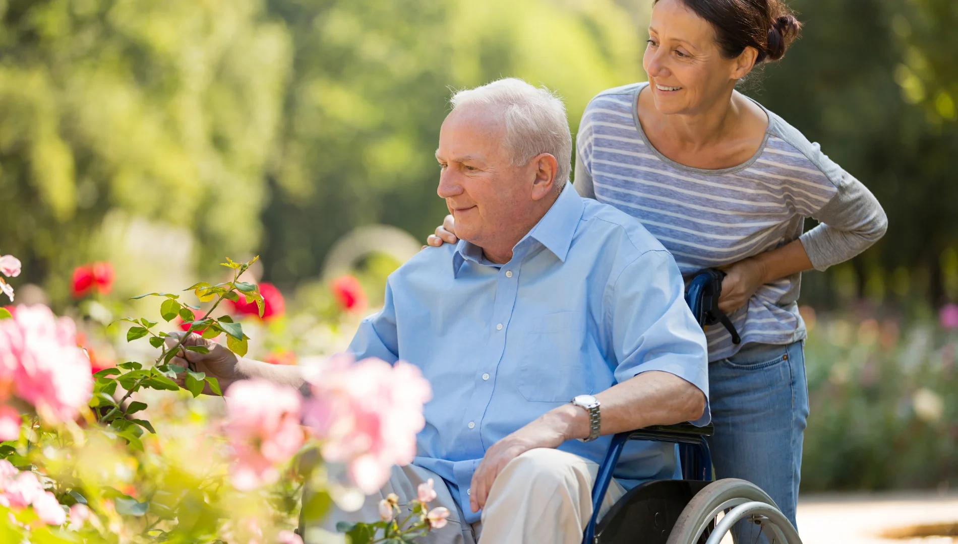 FAMILY HOME HEALTH LP