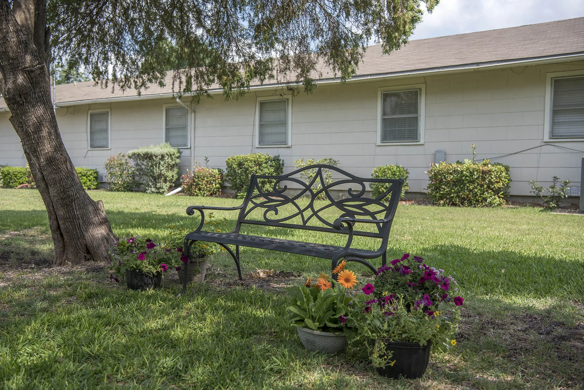 FARMERSVILLE HEALTH AND REHABILITATION