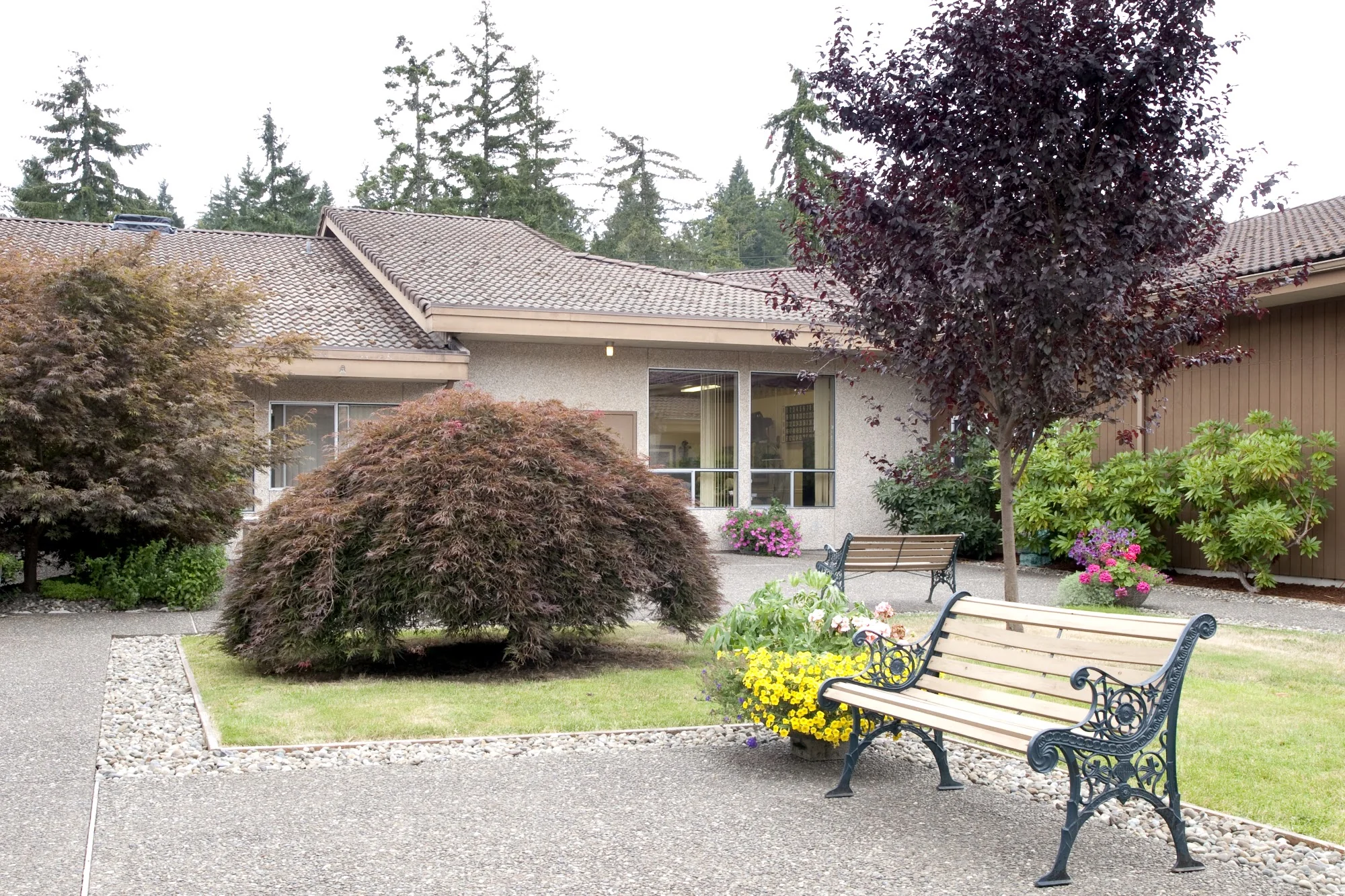 FIR LANE CARE