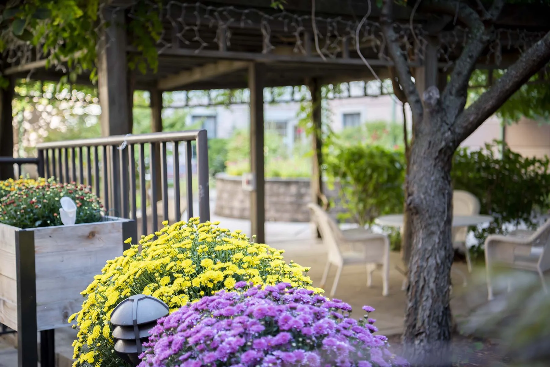 FLORHAM PARK REHABILITATION AND HEALTHCARE CENTER