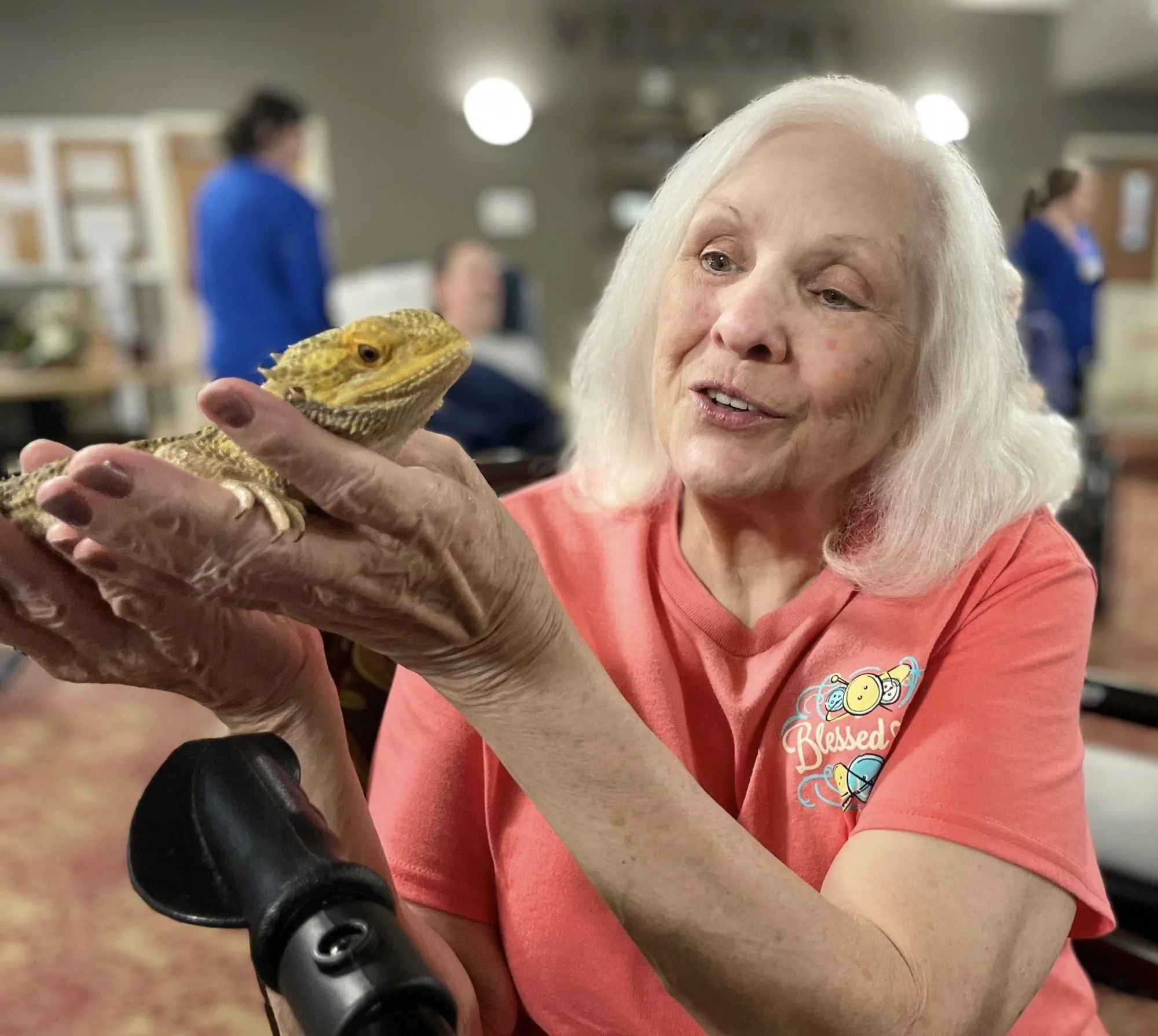 FOREST HAVEN NURSING & REHAB CTR, LLC