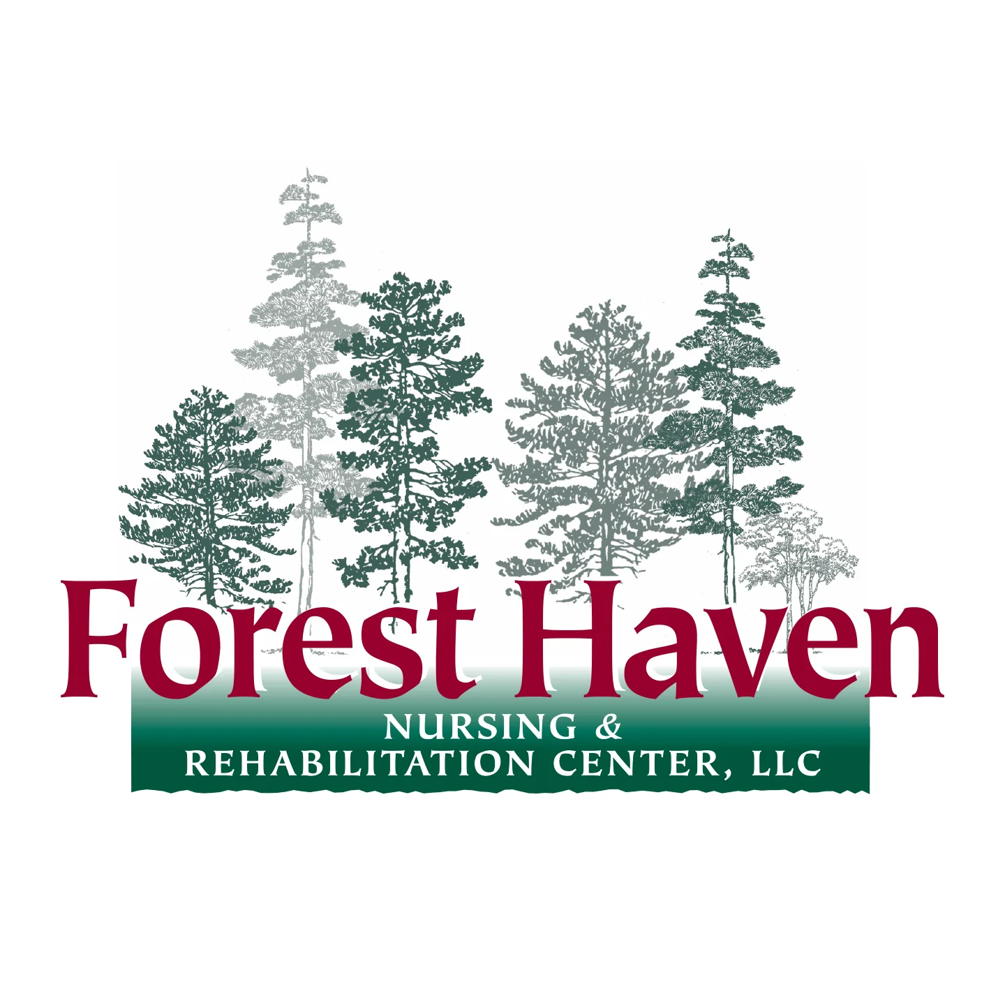 FOREST HAVEN NURSING & REHAB CTR, LLC