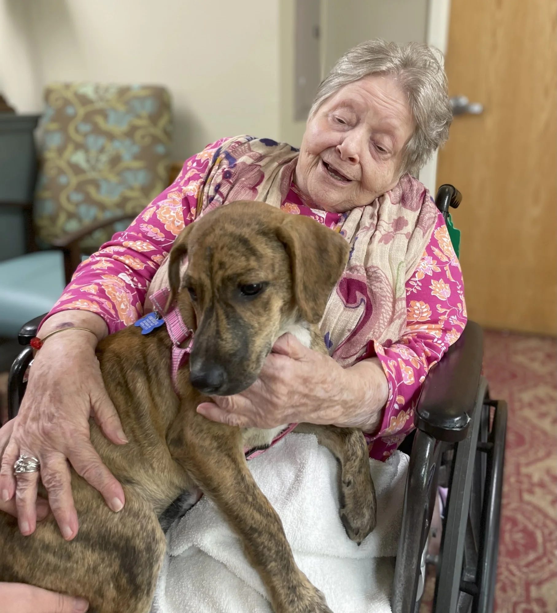 FOREST HAVEN NURSING & REHAB CTR, LLC