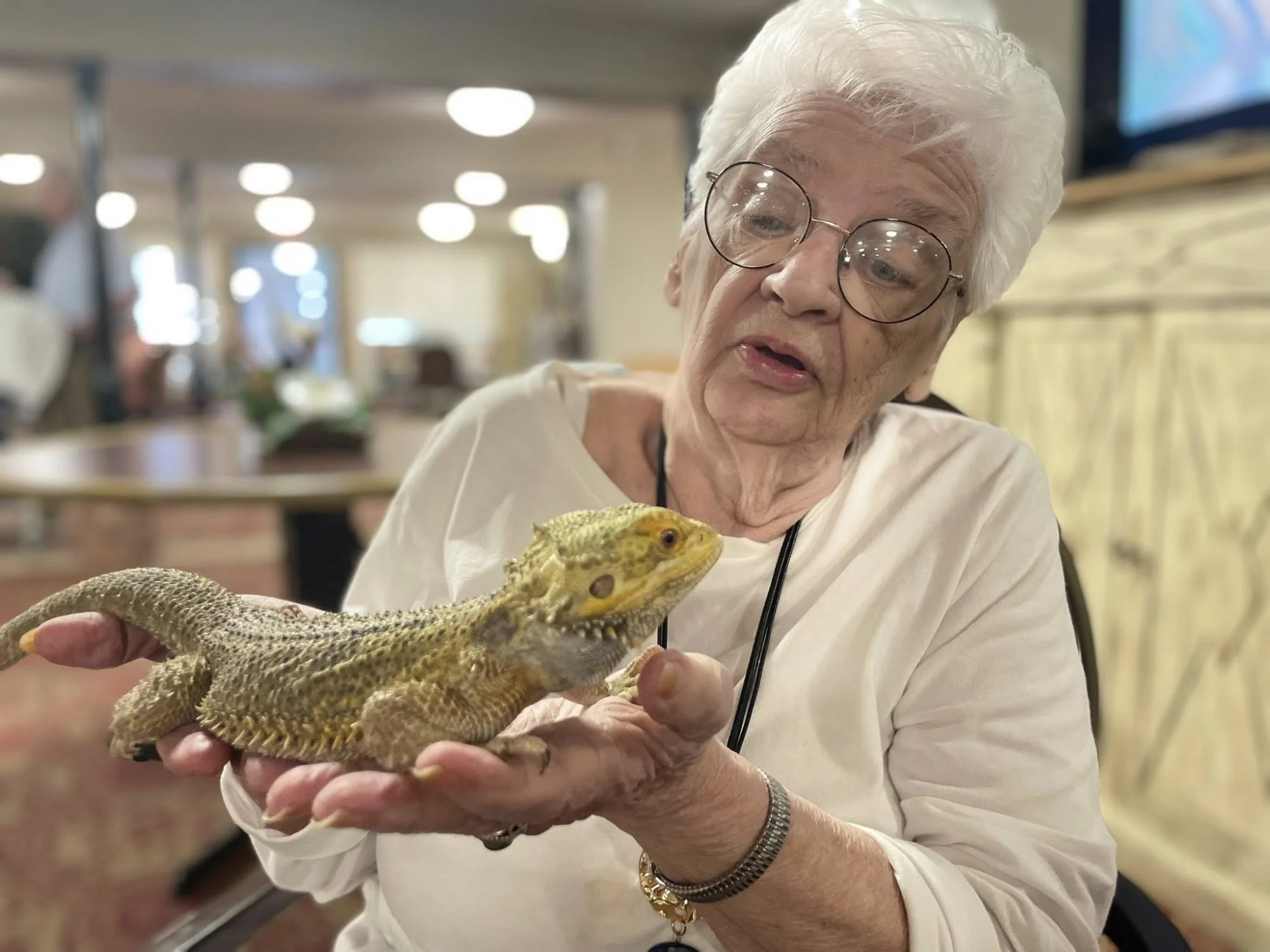 FOREST HAVEN NURSING & REHAB CTR, LLC