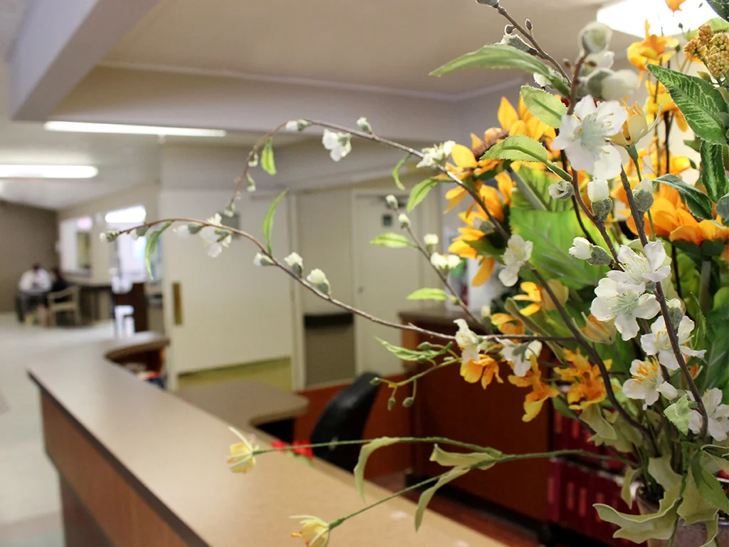 FORESTVILLE REHABILITATION AND WELLNESS CENTER