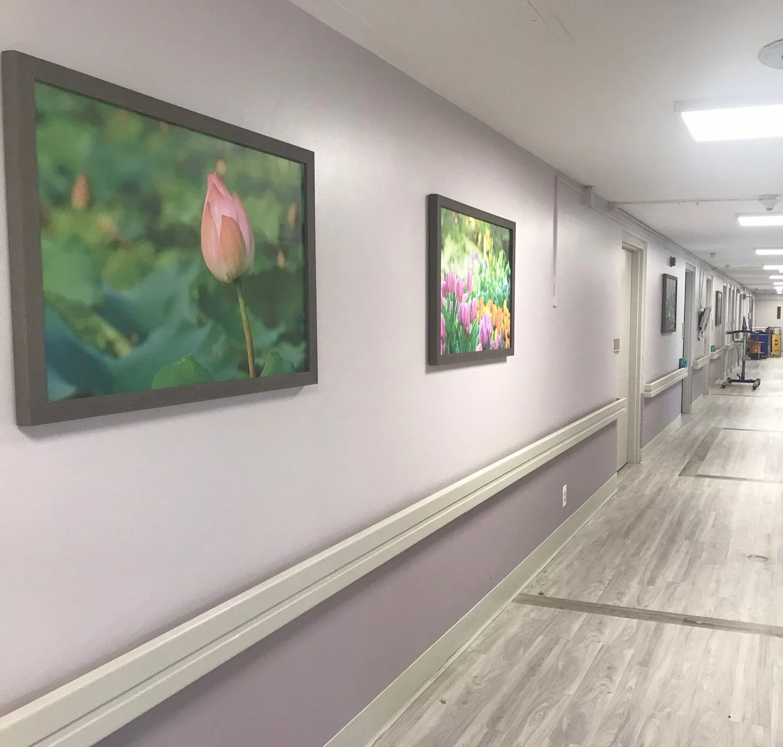 FOUNTAIN CARE AT SUNSET HILLS