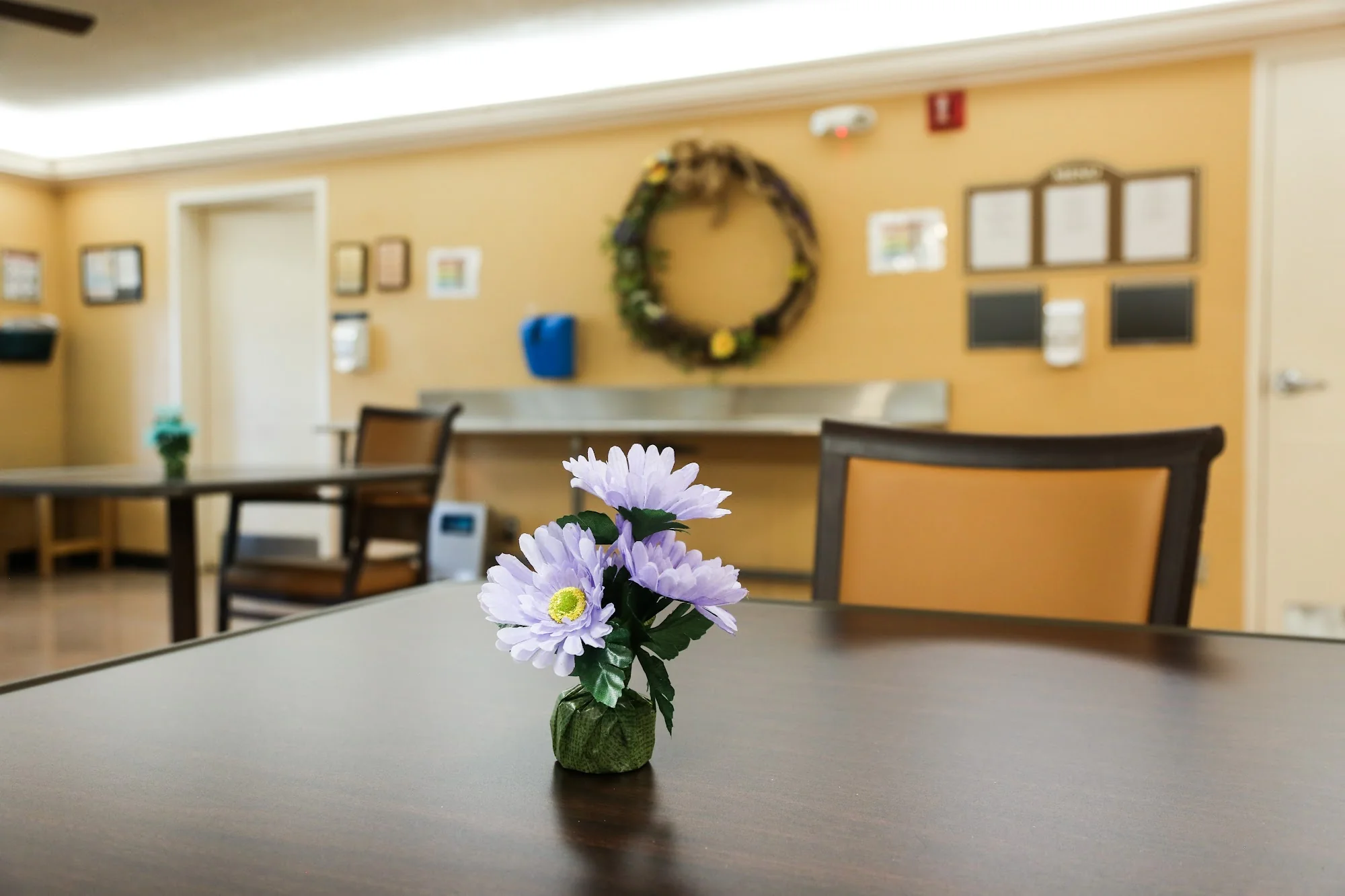 FOUR COUNTY HEALTH AND REHABILITATION