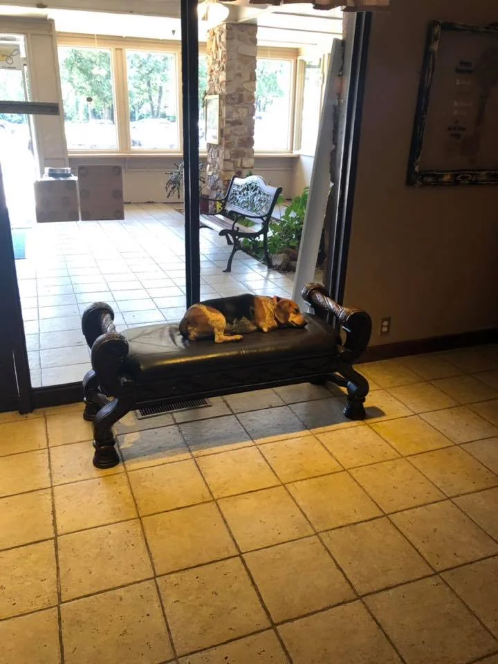 FOUR SEASONS REHABILITATION & CARE
