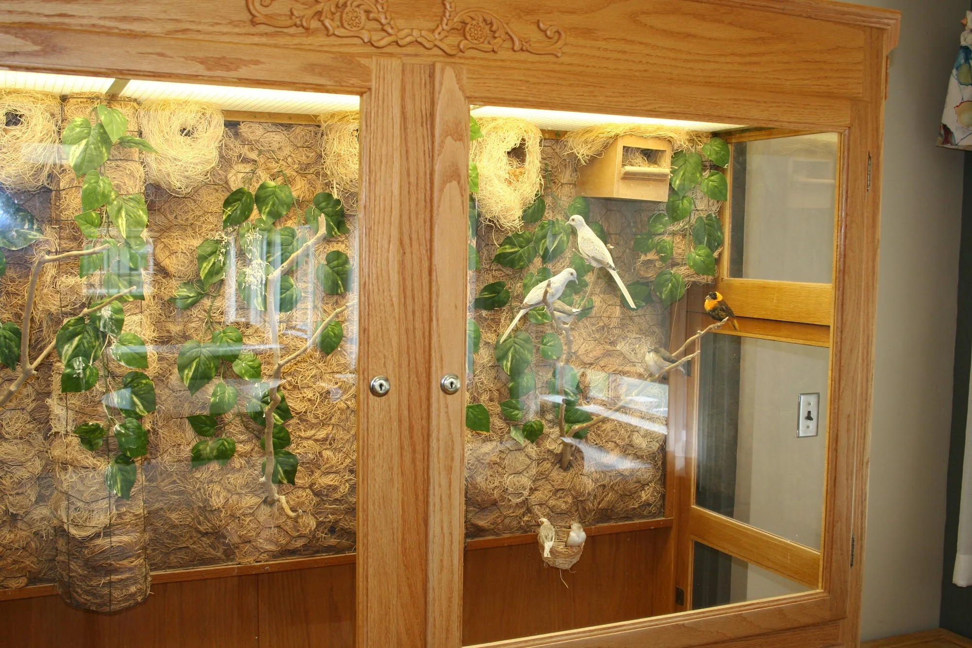 FRAZEE CARE CENTER