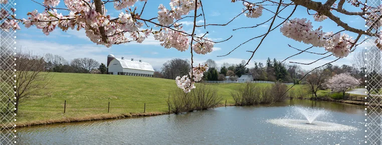 FRIENDS HOMES AT GUILFORD