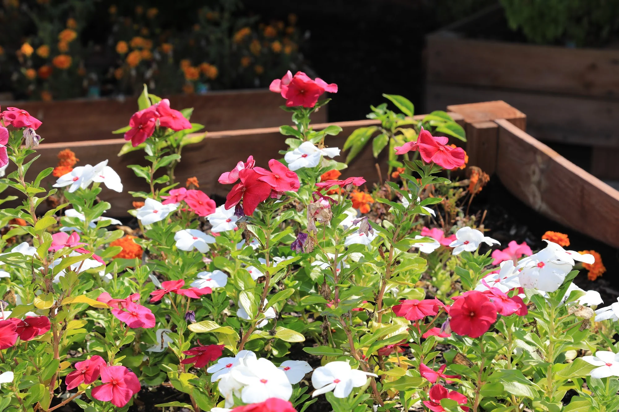 GARDEN VIEW CARE CENTER OF CHESTERFIELD