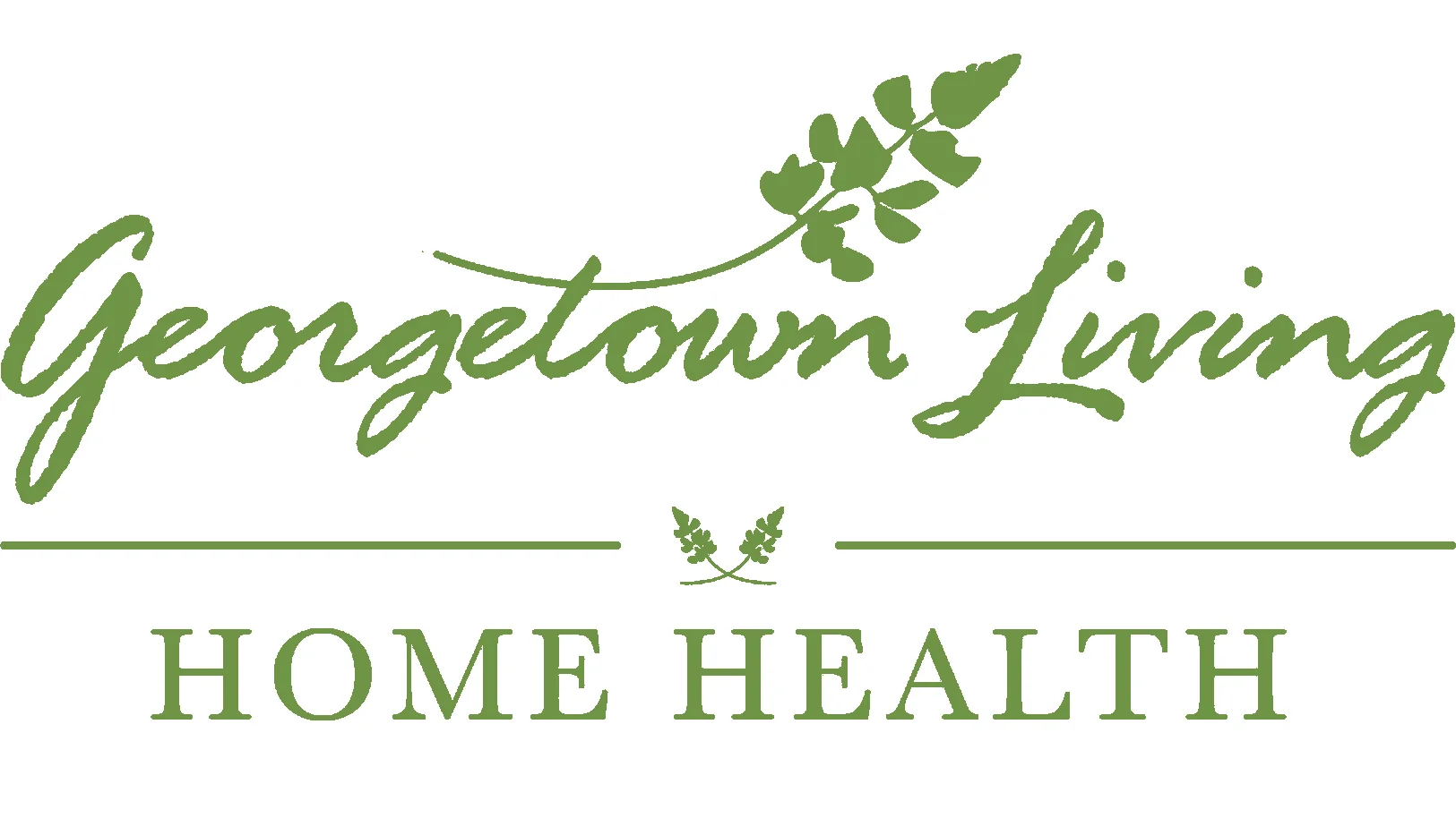 GEORGETOWN LIVING HOME HEALTH & COMPANIONS