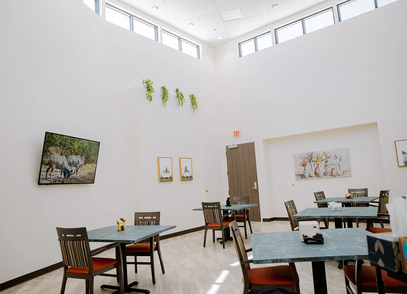 GREEN VALLEY HEALTH AND WELLNESS SUITES
