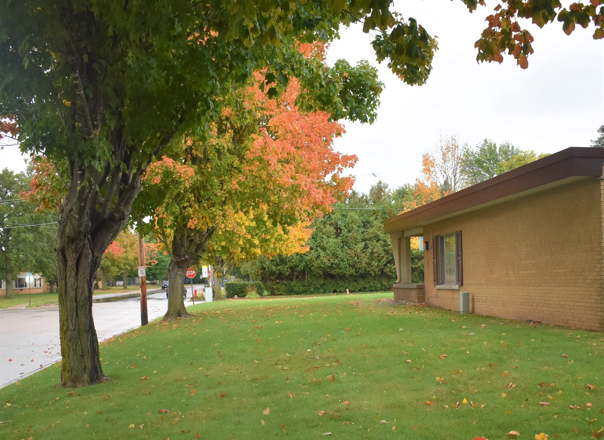 GREENTREE HEALTH AND REHABILITATION CENTER