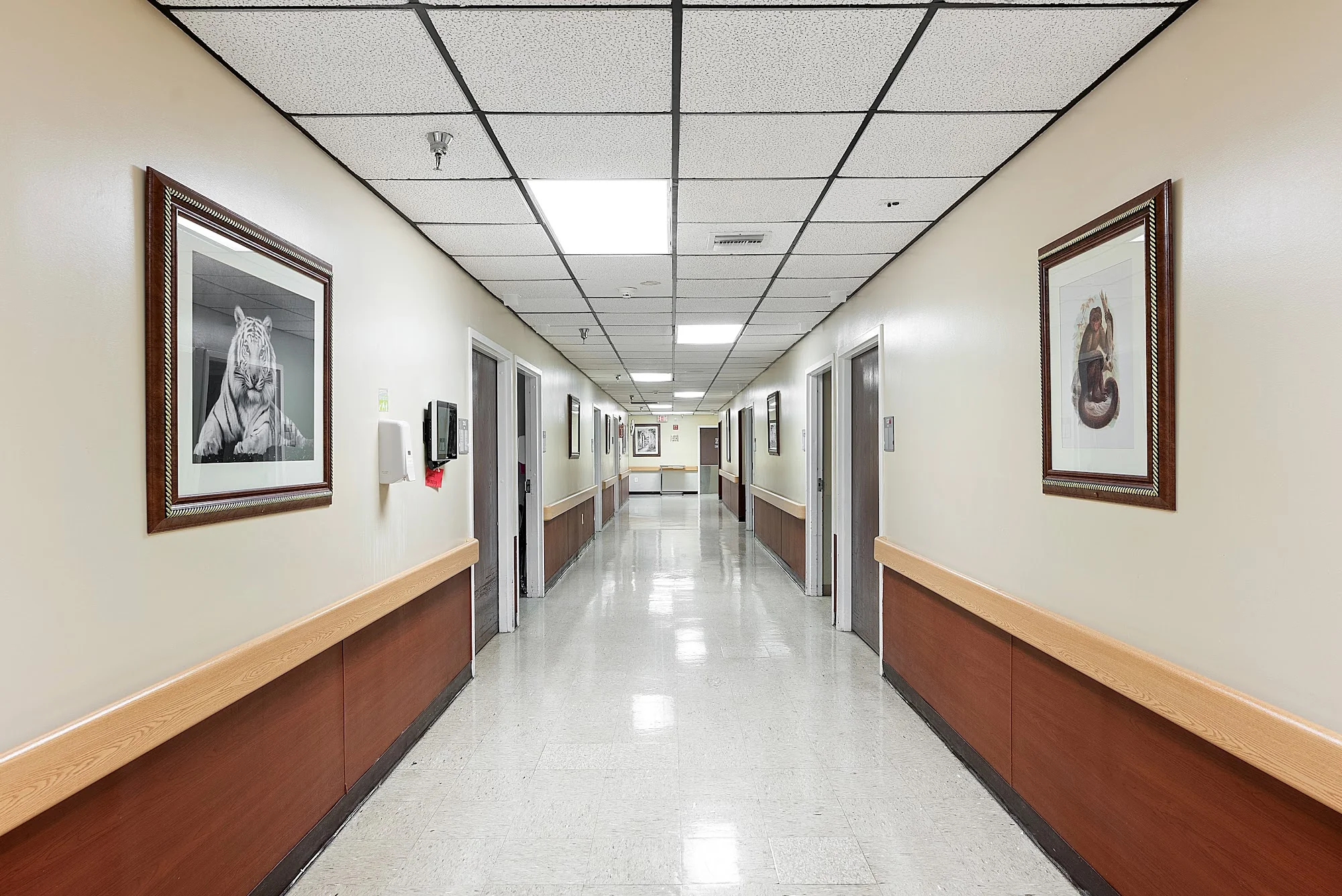 HAINES CITY REHABILITATION AND NURSING CENTER