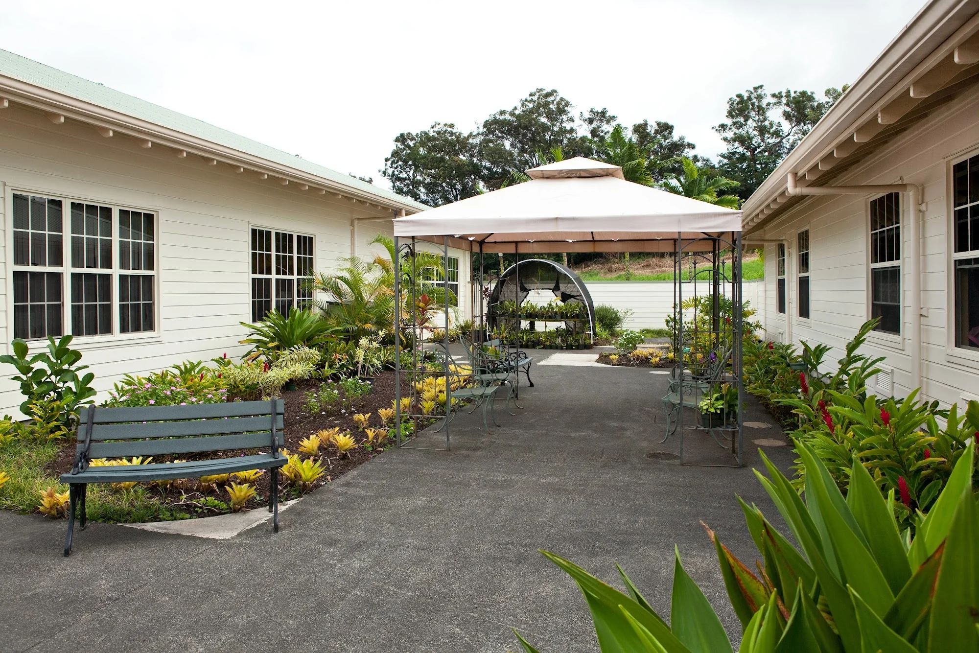 HALE ANUENUE RESTORATIVE CARE