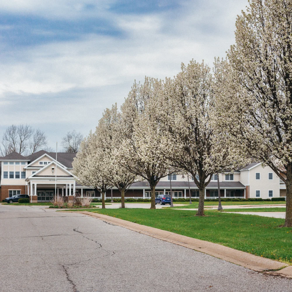 HAMILTON GROVE