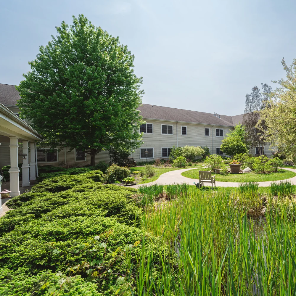 HAMILTON GROVE