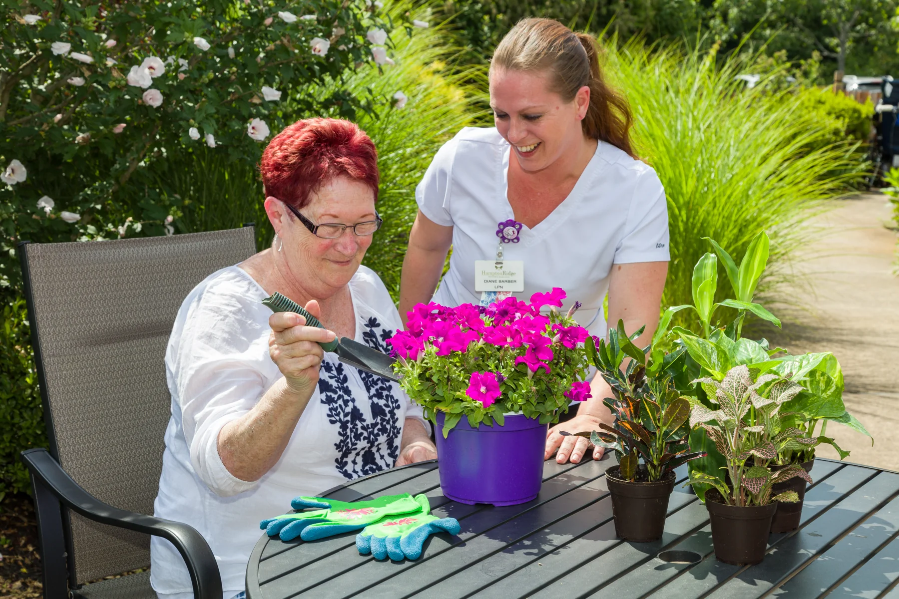 HAMPTON RIDGE HEALTHCARE AND REHABILITATION