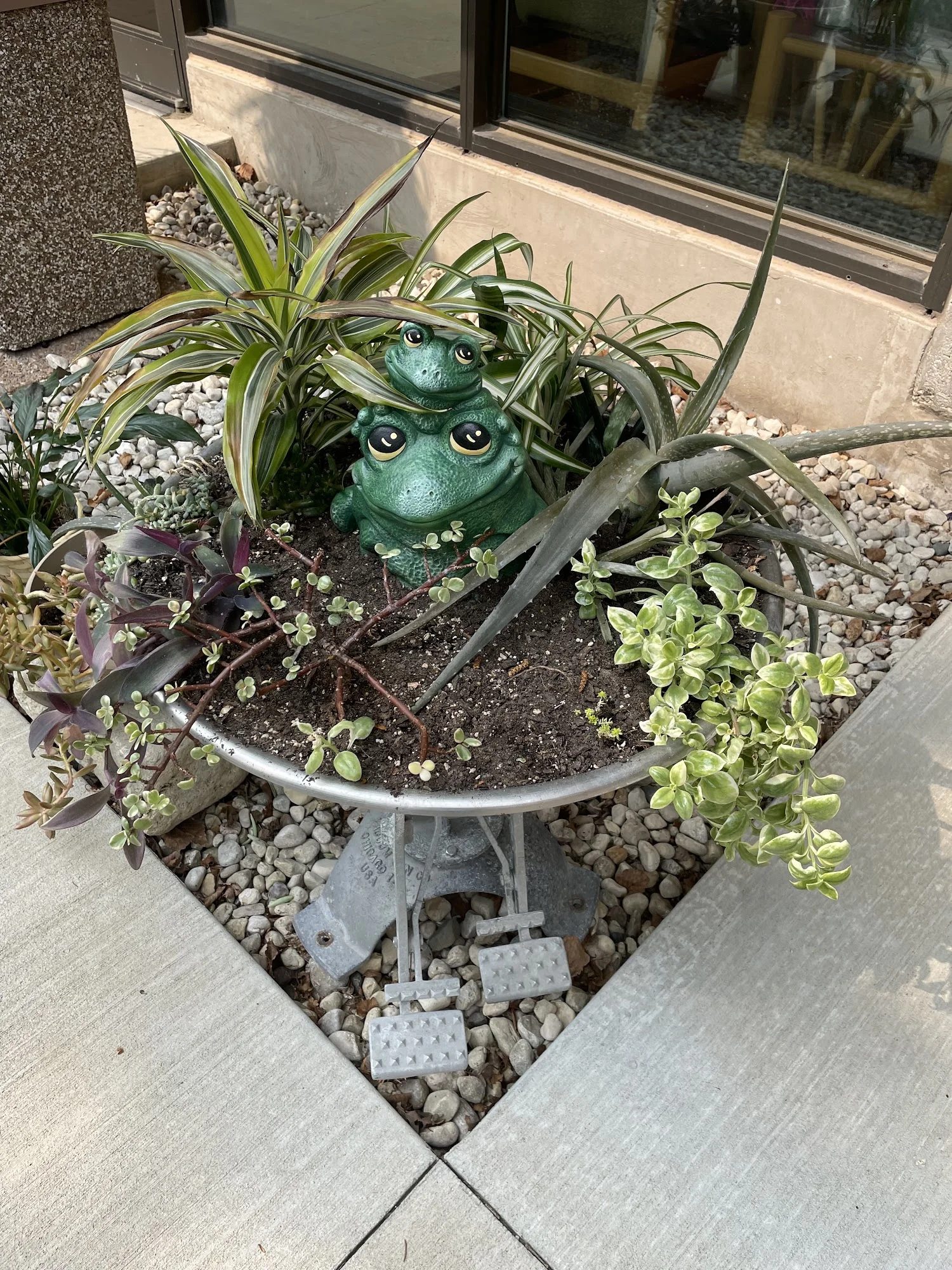 HARBOR HAVEN HEALTH & REHABILITATION