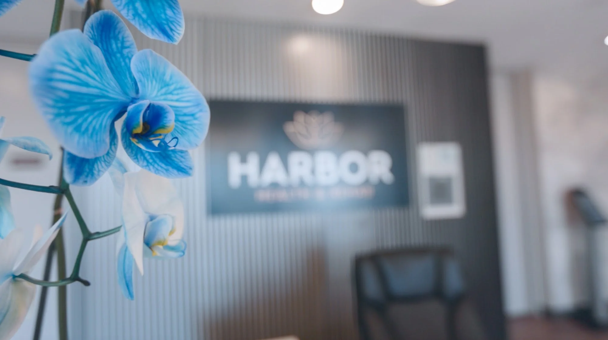 HARBOR HEALTH & REHAB