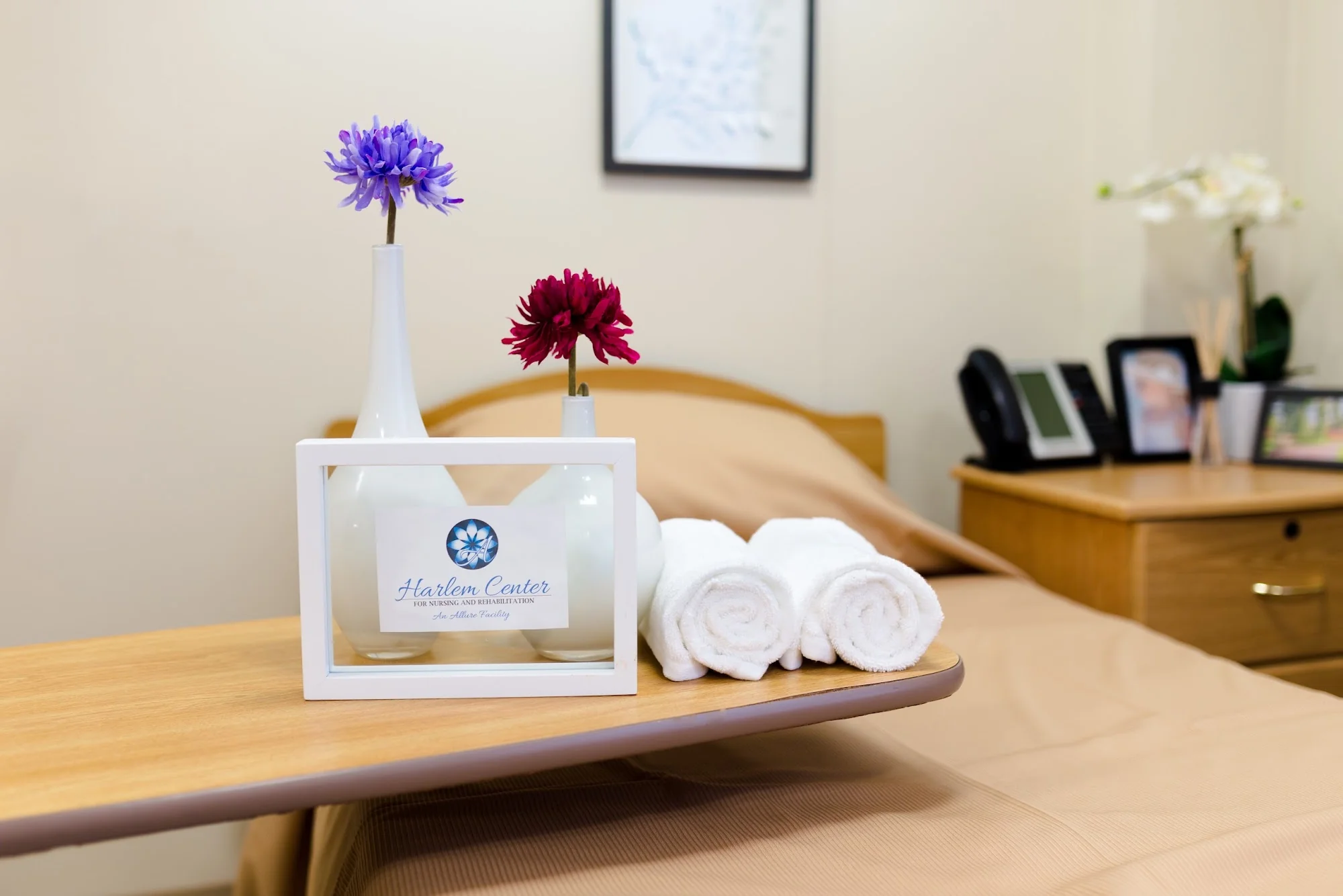 HARLEM CENTER FOR NURSING AND REHABILITATION, L L C