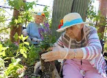 HAVEN OF SAGUARO VALLEY