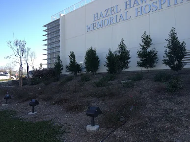 HAZEL HAWKINS MEMORIAL HOSPITAL D/P SNF