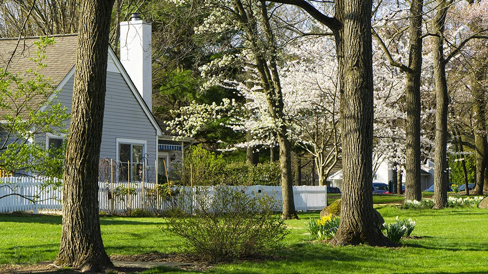 HCC AT WHITE HORSE VILLAGE