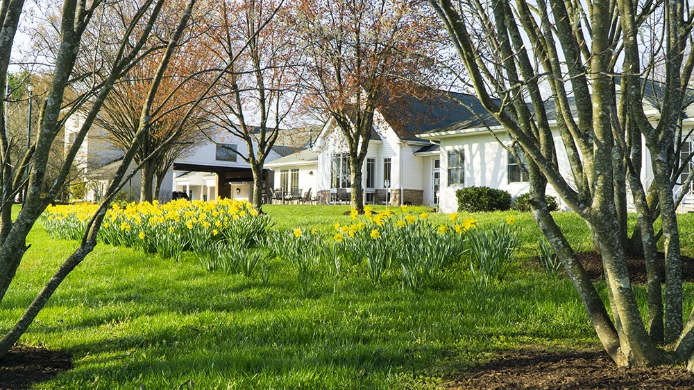 HCC AT WHITE HORSE VILLAGE