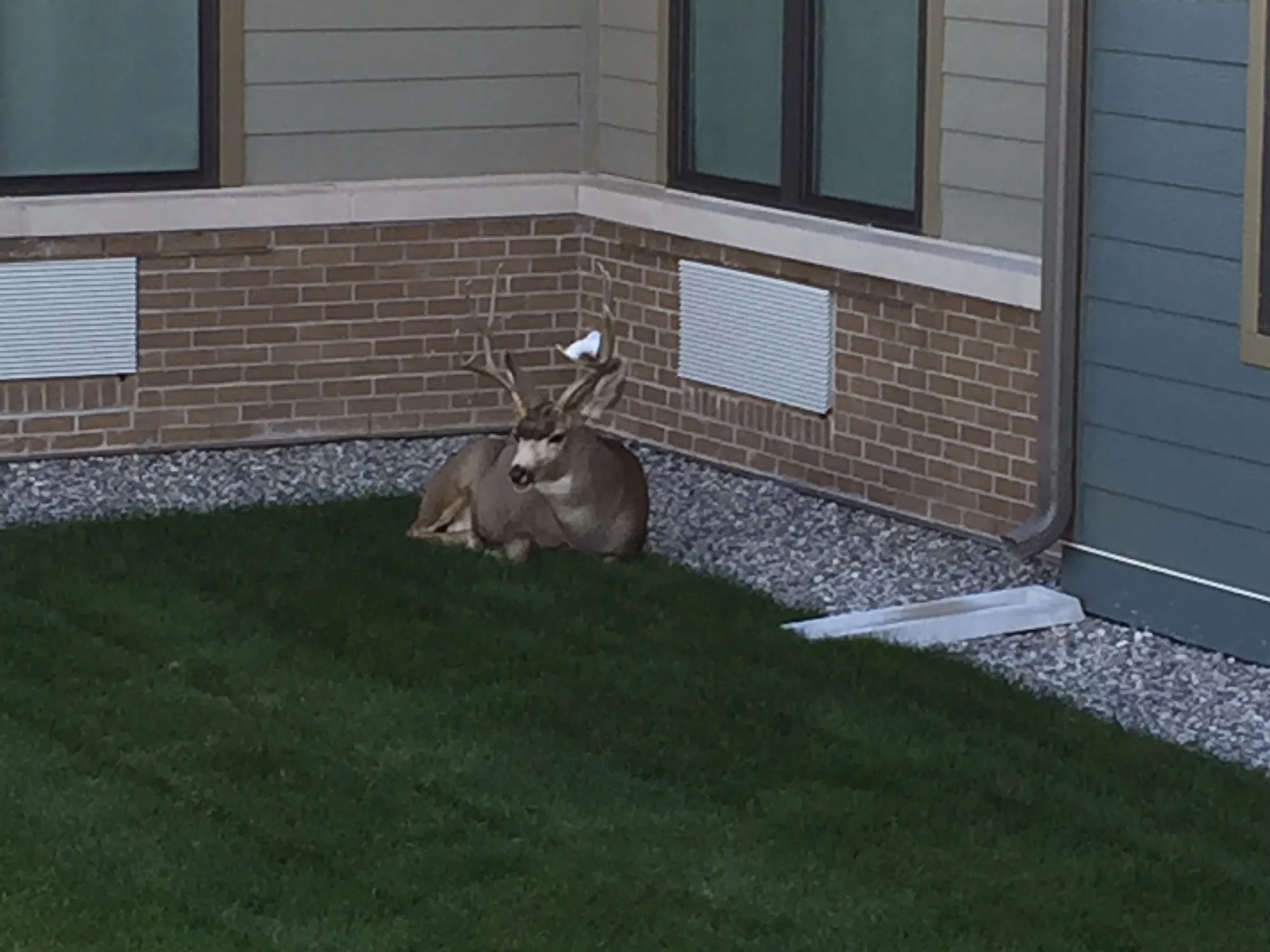 HEALTHCARE RESORT OF COLORADO SPRINGS, THE