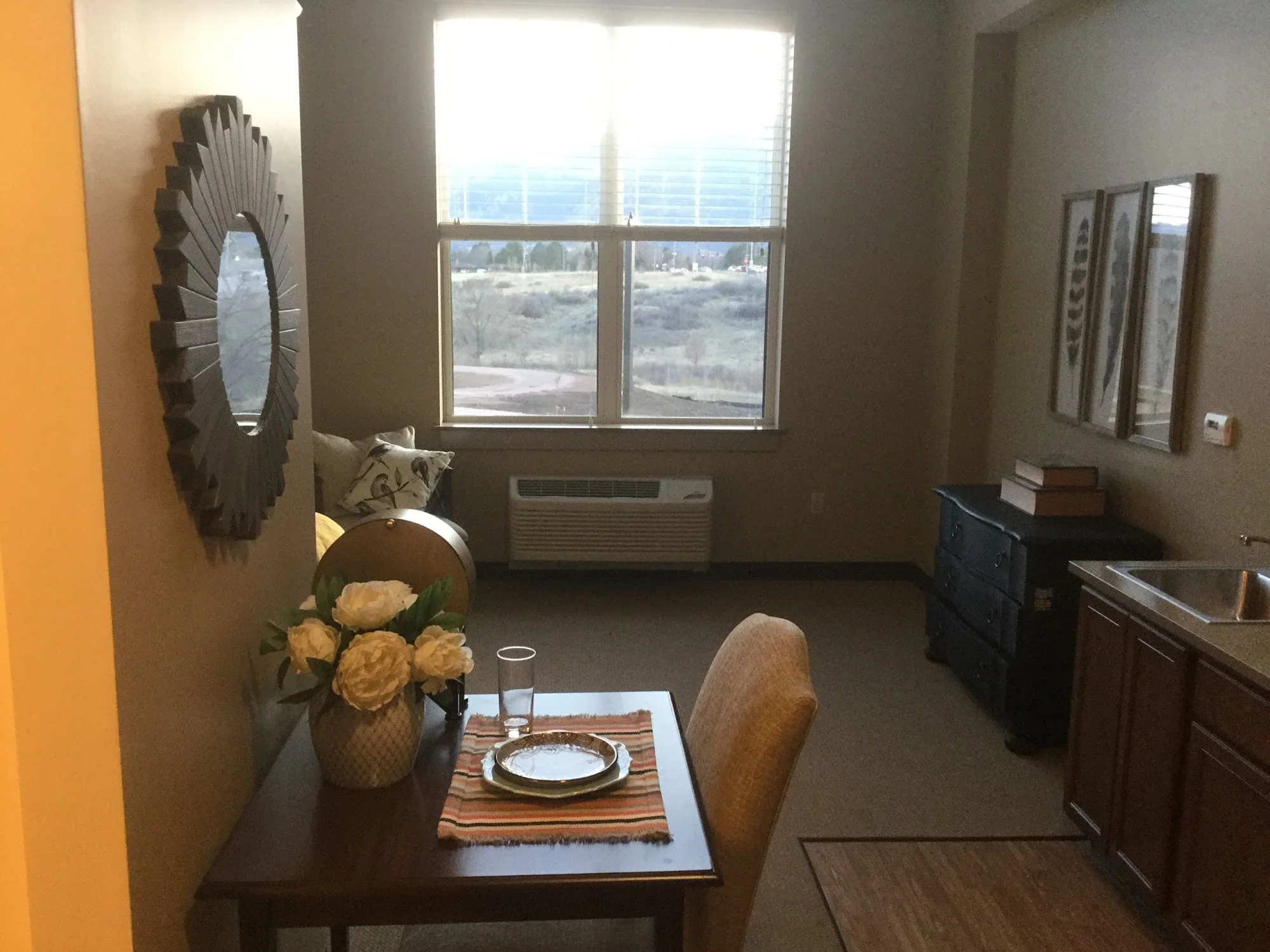 HEALTHCARE RESORT OF COLORADO SPRINGS, THE