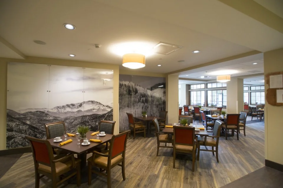 HEALTHCARE RESORT OF COLORADO SPRINGS, THE