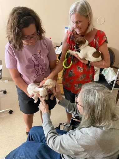HEARTLAND LIVING & REHAB AT THE MOSES H CONE MEMORIAL HOSPITAL