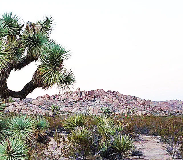 HI-DESERT MEDICAL CENTER D/P SNF