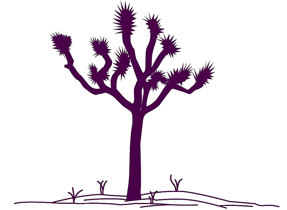 HIGHLAND MANOR OF FALLON REHABILITATION LLC
