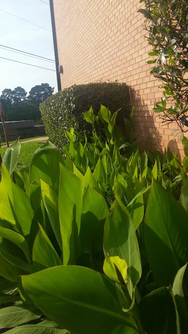 HIGHLAND PINES NURSING HOME