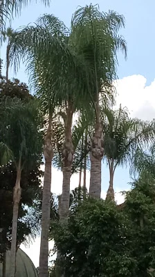 HOLLENBECK PALMS