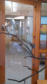 HOLT SENIOR CARE AND REHAB CENTER