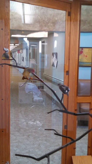 HOLT SENIOR CARE AND REHAB CENTER