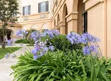 HUNTINGTON VALLEY HEALTHCARE CENTER
