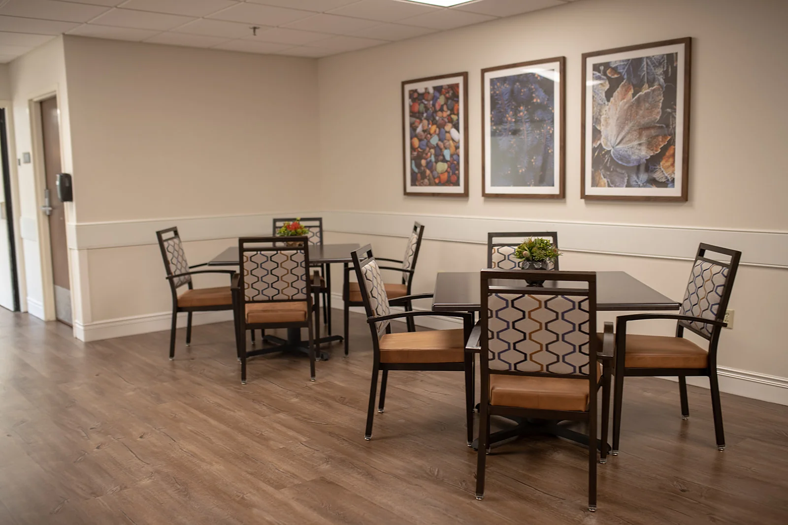 IGNITE MEDICAL RESORT ST MARYS LLC