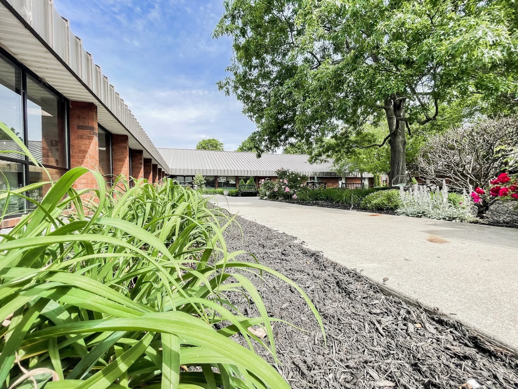 INNISWOOD HEALTH AND REHABILITATION