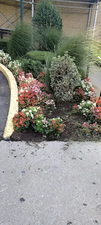 ISABELLA GERIATRIC CENTER INC