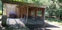 JOSHUA TREE CARE CENTER